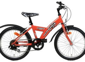Велосипед Minerva Fresh M303