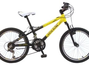 Велосипед Corvus GW-10B225