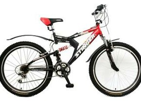 Велосипед Stinger Х26876 Viper SX100 24