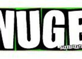 Скейт Baker Nuge  nuge logo