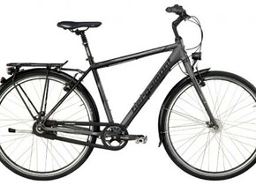 Велосипед Bergamont Horizon N8 Rigid Gent