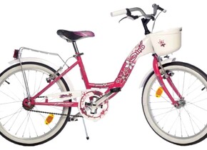Велосипед Dino 204 R