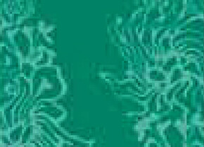  Головные уборыWind X-treme WIND Floral green