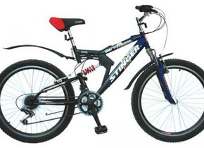 Велосипед Stinger Viper SX100 24