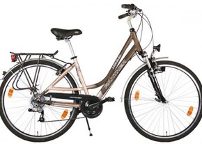Велосипед PANTHER XENIUM 28 (P649)