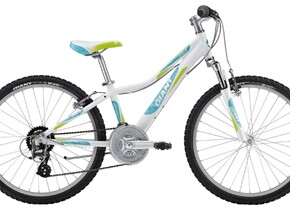 Велосипед Giant Areva 1 24