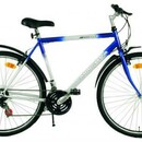 Велосипед PANTHER ECHO CROSS 28 (M425)