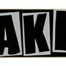 Скейт Baker Team  brand logo  heli-pop