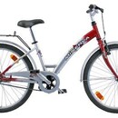 Велосипед PANTHER FRESH 24 (M606)