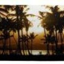 Скейт Republica Palm Sunset