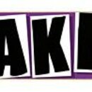 Скейт Baker Team  brand logo purple