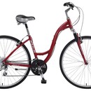 Велосипед Fuji Bikes Crosstown 1.0 LS