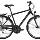 Велосипед Bergamont Horizon 5.3
