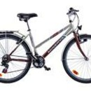 Велосипед PANTHER ECHO CITY 26 (M614)