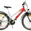 Велосипед PANTHER FLASH 26 (P421)